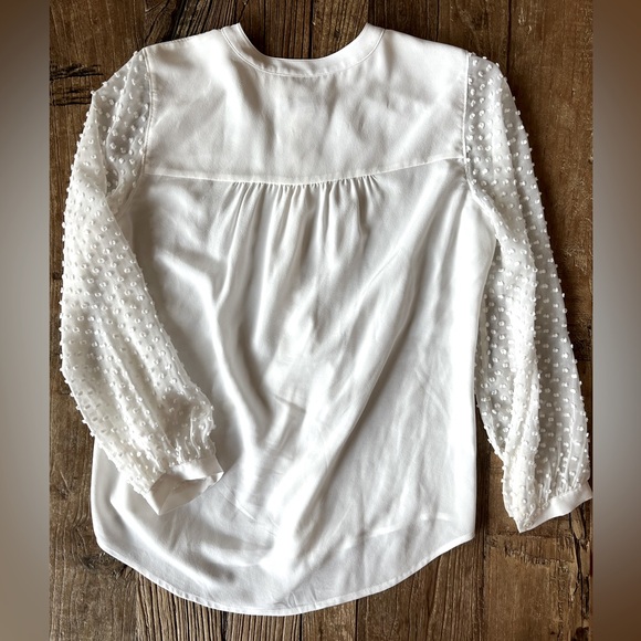 Rails Camilla Silk Button-Down Blouse - Picture 4 of 6